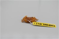 藏品(光手酋婦蟹)的圖片